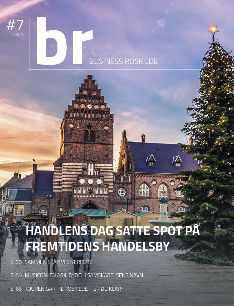 Business-Roskilde-7